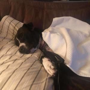 Meet your Posher, Michele